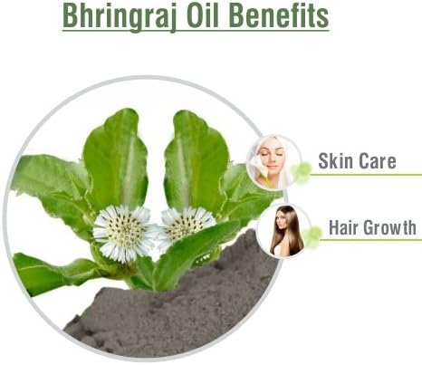 Salvia Bhringraj Oil (Eclipta alba) 100% Pure & Natural - Undiluted Uncut Cold Pressed Premium Oil Use for Aromatherapy, Skin Care & Hair - Therapeutic Grade (15ml (0.50 Fl Oz))