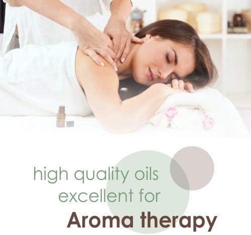 salvia Arnica (Arnica Montana) Therapeutic Essential Oil by Salvia Amber Bottle 100% Natural Uncut Undiluted Pure Cold Pressed Aromatherapy Premium Oil (0.51 Fl Oz (Pack of 1))