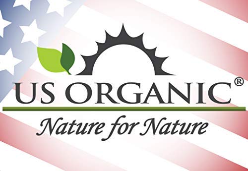 US Organic 100% Pure Clove Stem Essential Oil - USDA Certified Organic, Steam Distilled (15 ml)