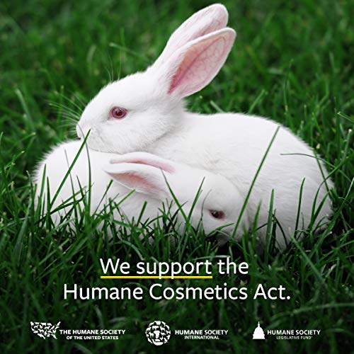 US Organic 100% Genuine Myrrh Essential Oil - Sourced from The Horn of Africa, USDA Certified Organic, Extracted by Hydro-Distillation (Myrrh, 5 ml)