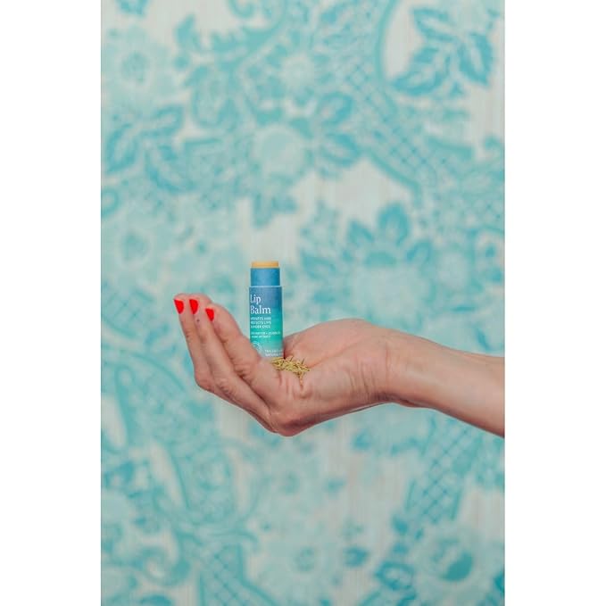 Allez Outdoor Vegan Lip & Eye Balm, Plant-Based Formula with Shea Butter, Jojoba Oil & Algae Extract for Skin Hydration & Protection, Sea Salt/Kelp Scent, 3-Pack