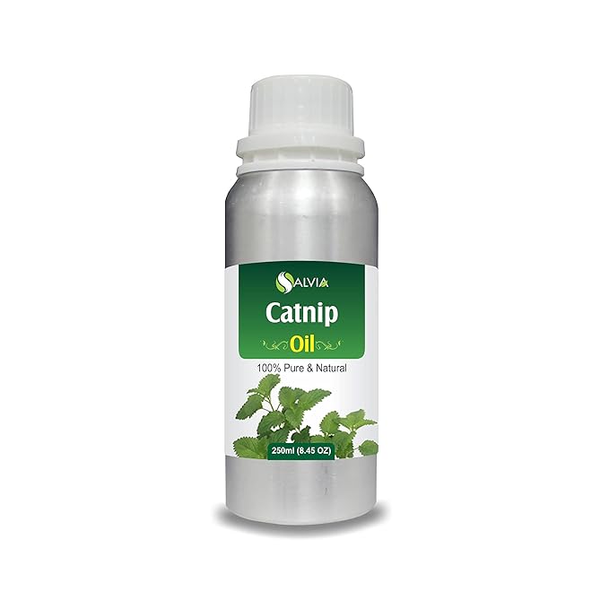 Catnip (Nepeta cataria) Essential Oil 100% Pure & Natural Undiluted Uncut Oil | Best for Aromatherapy (250 ml (8.45 oz))