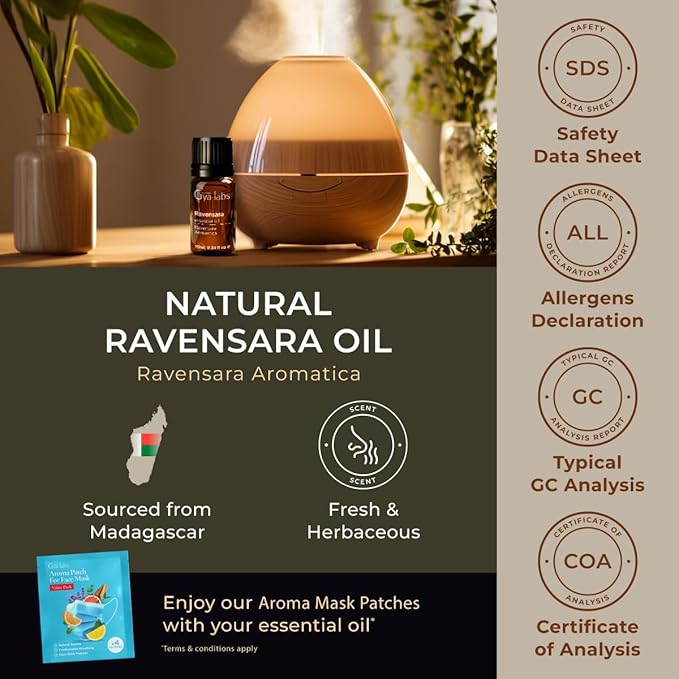 Gya Labs Ravensara Essential Oil for Diffuser - 0.34 Fl Oz - 100% Pure Natural Ravensara Oil for Skin, Hair, Aromatherapy & Candles Making - Sweet Spicy & Purifying Scent