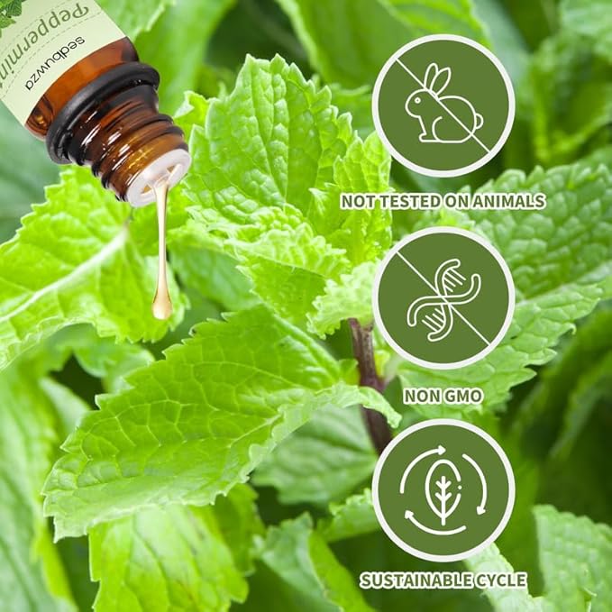 Sedbuwza Vanilla Peppermint Essential Oil Set, Vanilla Fragrance Oil Peppermint Scent Oil Set for Diffuser, Aromatherapy, Massage, Soap, Candle Making 2 x 10 ml