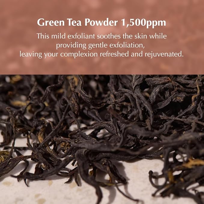 KAINE Kombu Hydrating Daily Cleanser | Deep Pore Gentle Face Cleanser for Dry & Sensitive Skin, Korean Skin Care 5.46 fl oz/155g