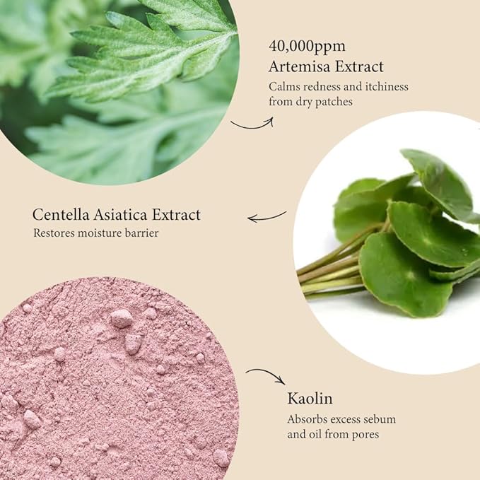 Artemisia Steam Mask – Korean Warming Clay Mask for Deep Pore Cleansing, Acne Control & Oil Balancing, Kaolin & Centella for Inflamed, Oily & Acne-Prone Skin, Detoxifying, 1.76 oz.