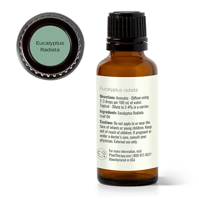 Plant Therapy Eucalyptus Radiata Essential Oil 30 mL (1 oz) 100% Pure, Undiluted, Therapeutic Grade