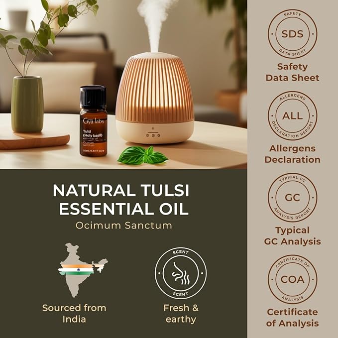 Gya Labs Holy Basil (Tulsi) Essential Oil - 0.34 Fl Oz - 100% Pure Natural Holy Basil Oil for Diffuser, Candle Making - Sweet Balsamic Scent