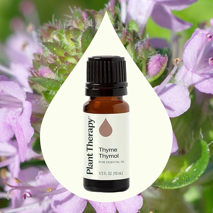Plant Therapy Thyme Thymol Essential Oil 100% Pure, Undiluted, Natural Aromatherapy, Therapeutic Grade 10 mL (1/3 oz)