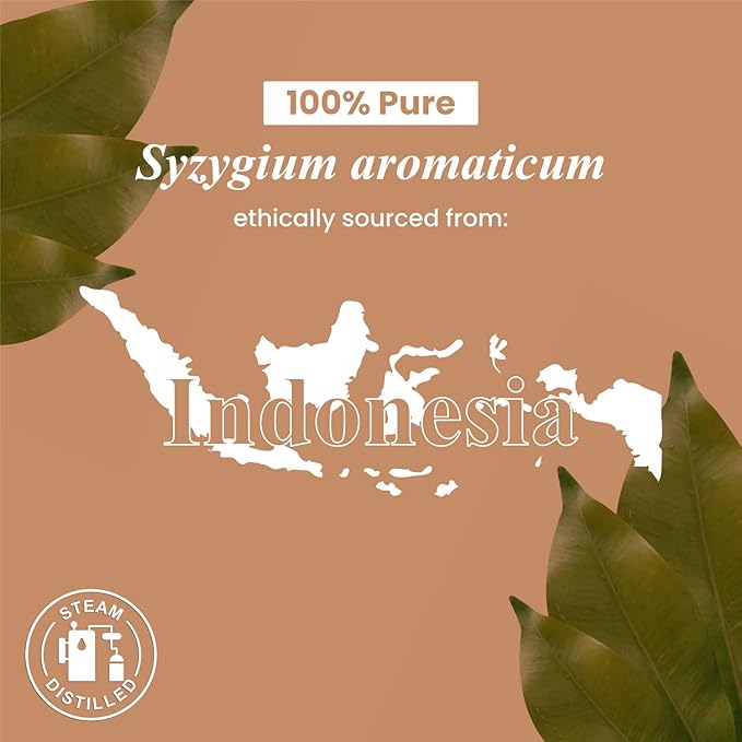 Handcraft Blends Clove Essential Oil - Huge 4 Fl Oz - 100% Pure and Natural - Premium Grade Essential Oil for Diffuser and Aromatherapy