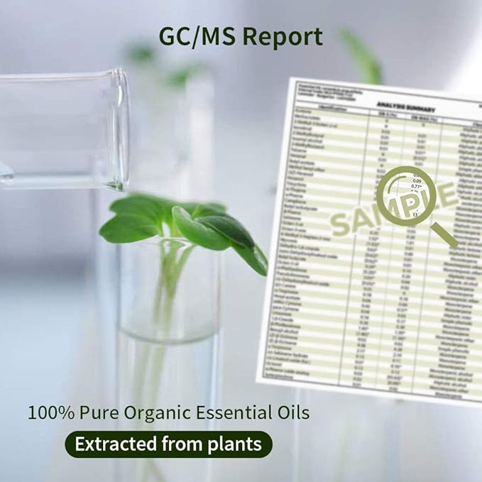 Violet Oil Lavender Essential Oil Gift Set, 100% Pure Organic Aromatherapy Oils Gift Set for Diffuser, Massage, Soap, Candle Making - 2 x 10ml