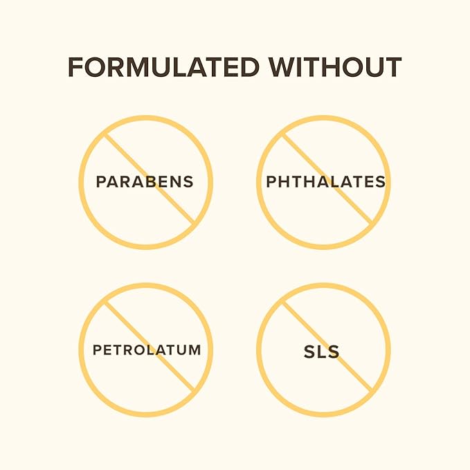 BURTS BEES Kissable Color Lip Shimmer Holiday Gift, 1 EA (Pack of 2)