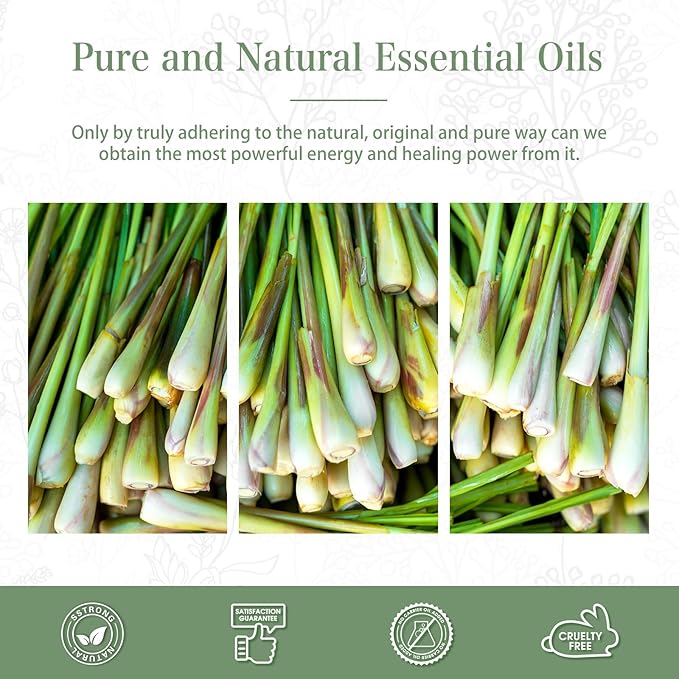 Citronella Essential Oil 1.01fl.oz/30ml, PHATOIL Premium Citronella Oils Long Lasting Scents for Aromatherapy, Diffuser, DIY Soap and Candle Making