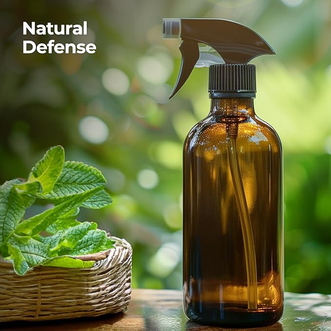 Healing Solutions Orange Essential Oil - Bulk, 16oz Organic Bottle - Sweet Orange for Cleaning & Skin Care