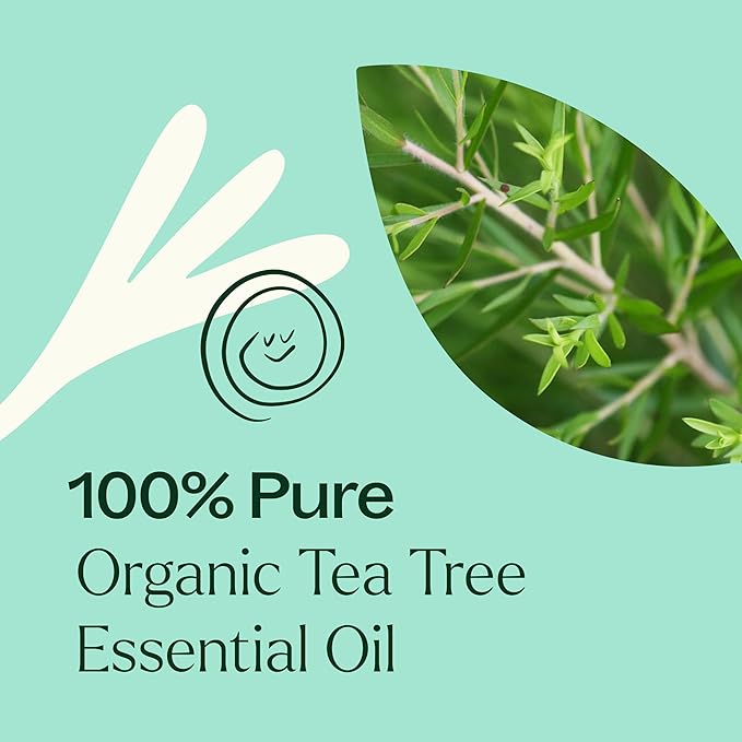 Plant Therapy Organic Tea Tree Oil (Melaleuca) 100% Pure, USDA Certified Organic, Undiluted, Natural Aromatherapy, Therapeutic Grade 30 mL (1 oz)