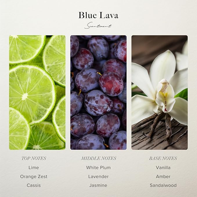 Blue Lava Designer Collection Diffuser Oils | Aromatherapy Home Fragrance | Luxurious Scent with Notes of Lime, Orange Zest, Cassis, Green Leaves (120 mL)