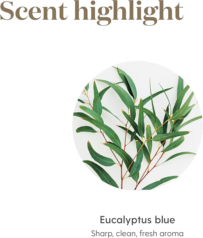 Young Living Eucalyptus Blue Premium Essential Oil Diffuser - 100% Pure, Cool & Refreshing Scent - Aromatherapy for Relaxation and Muscle Relief - 5ml Bottle
