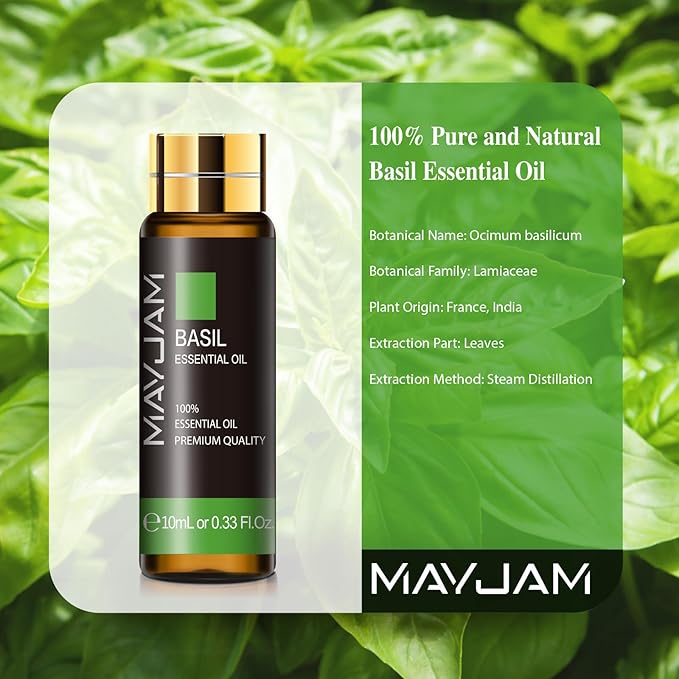Basil Essential Oil, MAYJAM 10ML/0.33FL.OZ Premium Basil Oils for Soap Candle Making, Diffuser, Bedroom, Living Room, Office