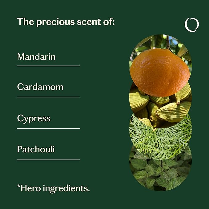 LIVEDROPS 24/7 Balanced Essential Oil Blend. Crafted in France Mandarin, Cardamon & Patchouli Pure & Natural Aromatherapy Skin Safe & Diffuser Compatible Clinically Tested