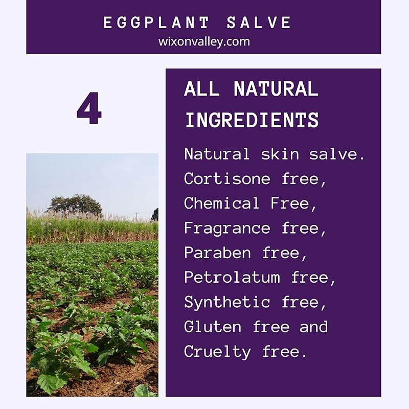 Eggplant Set of Eggplant Salve, Eggplant Oil and Eggplant Tincture for Skin Health Helps to Condition Regenerate Discolored Thickened Scaly Skin Complete Set (3 Items)