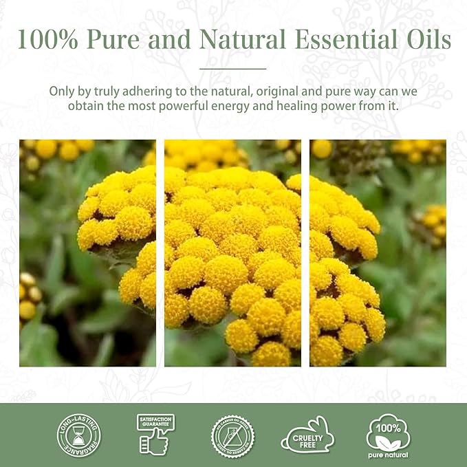 Helichrysum 1.01fl.oz Essential Oil, PHATOIL Pure Aromatherapy Oils for Diffuser, Humidifier, Perfect for DIY Soap, Candle, Bath Bombs Making(30ml)