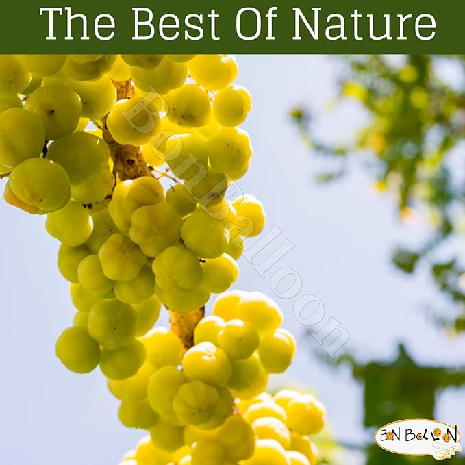 Elhawag Alamlag Phyllanthus Oil Pure & Natural Cold Pressed Al Hawaj El Hawag Concentrated & Crude Perfect Fresh It Has Many Uses for Food Hair Skin Body (1 Pack = 1 oz / 30 ml) زيت الاملج