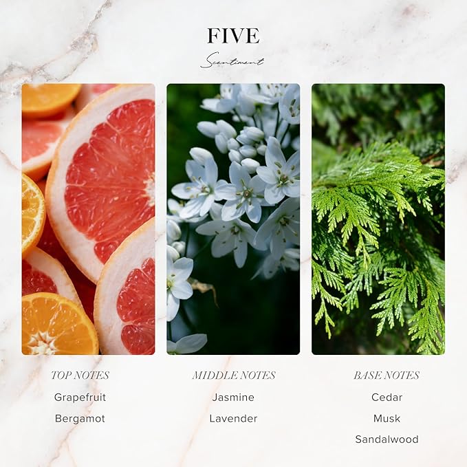 Five Designer Collection Diffuser Oils | Aromatherapy Home Fragrance | Luxurious Scent with Notes of Grapefruit, Lavender, Musk (20 mL)