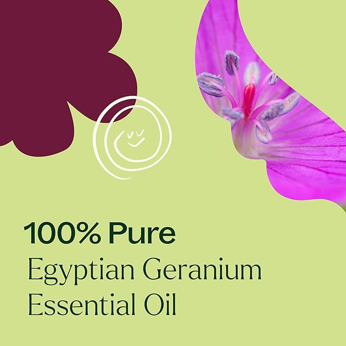 Plant Therapy Egyptian Geranium Essential Oil 100% Pure, Undiluted, Natural Aromatherapy, Therapeutic Grade 5 mL (1/6 oz)