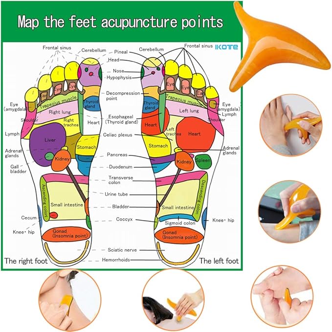 Electric Scalp Head Massager, IPX7 Waterproof Rechargeable Head Massager for Stimulating Hair Growth, Deep Clean, Blood Circulation and Stress Release