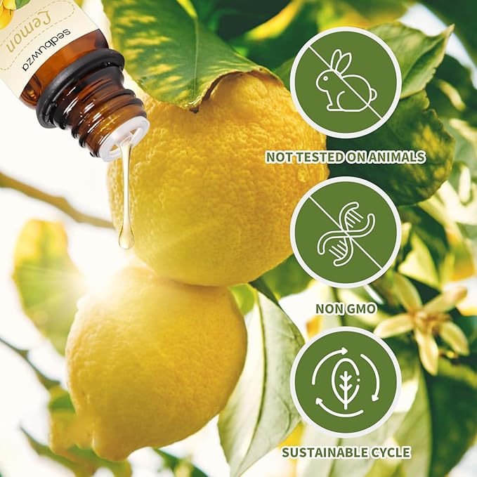 Eucalyptus Oil Lemon Essential Oil Gift Set, 100% Pure Organic Aromatherapy Oils Gift Set for Diffuser, Massage, Soap, Candle Making - 2 x 10ml