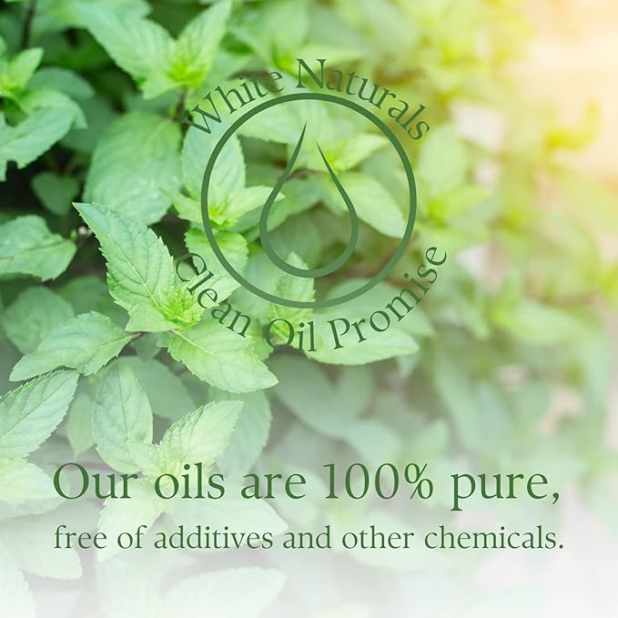 Organic Mint Essential Oil, Refreshes & Energizes The Spirit and Body, 100% Pure Natural Mint Oil for Diffuser, Aromatherapy, Hair Care, Skin Massage, Candle and Soap Making 1 Fl oz