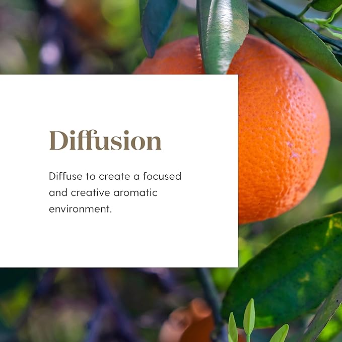 Citrus Fresh Essential Oil 15ml by Young Living Essential Oils