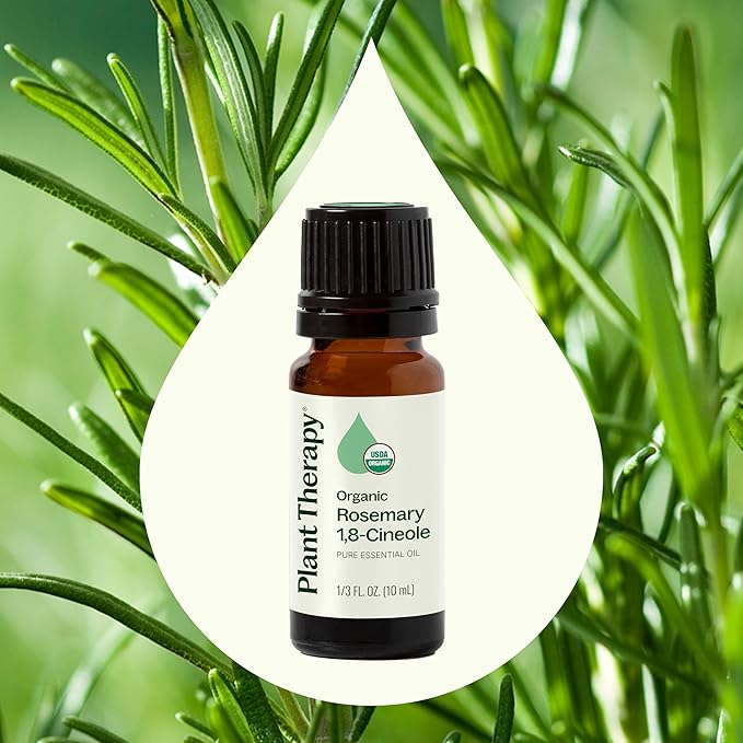 Plant Therapy Organic Rosemary Essential Oil 100% Pure, USDA Certified Organic, Undiluted, Natural Aromatherapy, Therapeutic Grade 10 mL (1/3 oz)