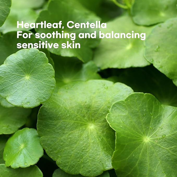 Epielle Heartleaf Calming Serum Sheet Masks (5pk) | Korean Skincare | Facial Sheet Mask | Kbeauty, Mother's Day Gifts