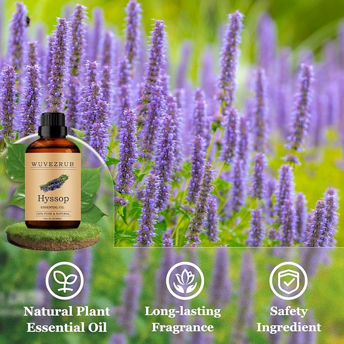 Hyssop Essential Oils 60ML, Pure Hyssop Essential Oil for Aromatherapy Diffuser - 2 Fl Oz