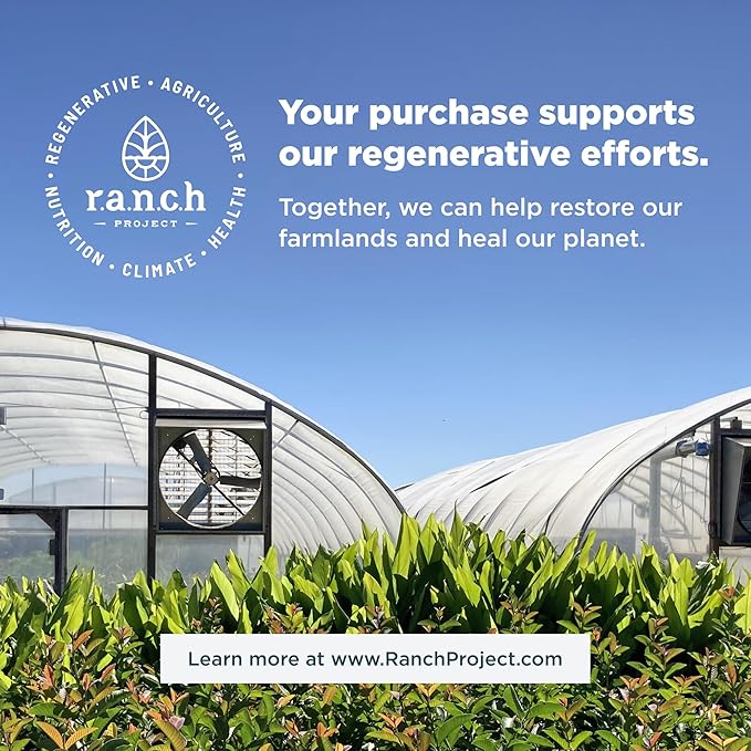 Ancient Nutrition Collagen Powder Protein, Multi Collagen Protein, Cucumber Lime, Hydrolyzed Collagen Peptides Supports Skin and Nails, Joint Supplement, 18.6oz