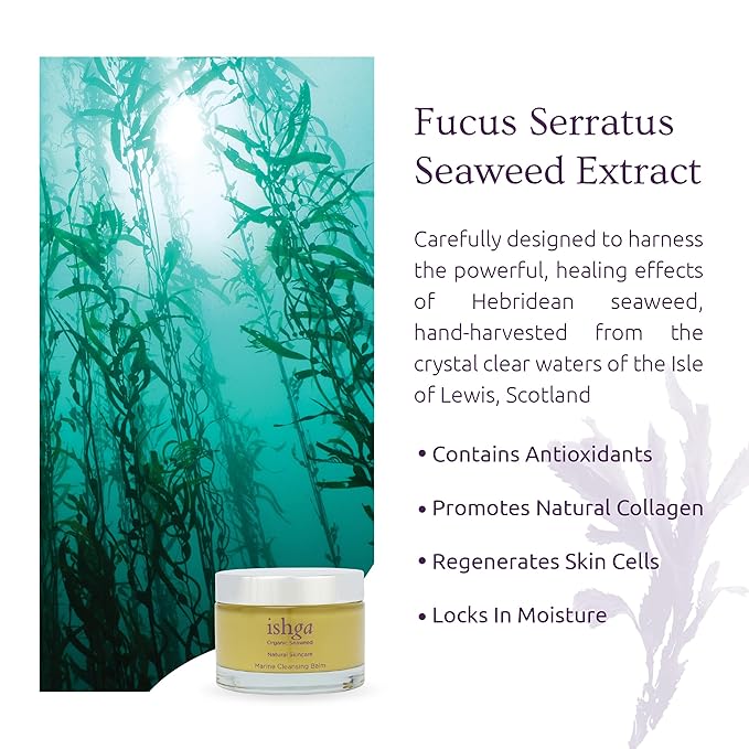 Ishga Marine Cleansing Balm | Natural & Organic Skincare | Scottish Seaweed | Bergamot, Rose Geranium, Shea Butter | Vegan, Cruelty-Free | 3.38fl oz (100ml)