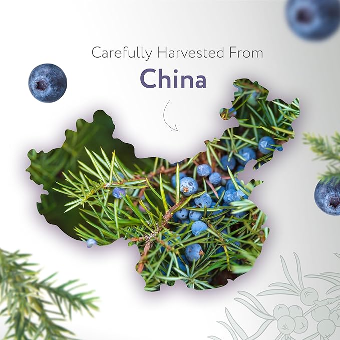 HBNO California Bottled Juniper Berry Essential Oil 1 fl oz (30ml) Travel Size - Natural Juniper Berry Oil - Perfect for Cleaning, Aromatherapy, DIY, Soap, fragrances & Diffuser