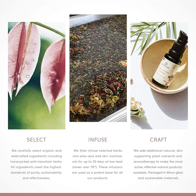 Annmarie Skin Care Coconut Honey Mask - With Extra Virgin Coconut Oil & Mountain Wildflower Honey, Moisturizing & Exfoliating Mask for Dull, Dry & Sun-Damaged Skin, All Skin Types (50mL, 1.7 fl oz)