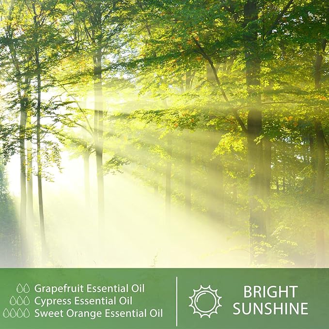 Cypress 3.38fl.oz Essential Oil, PHATOIL Aromatherapy Essential Oils for Diffuser, Humidifier, Perfect for DIY Soap, Candle, Bath Bombs Making(100ml)