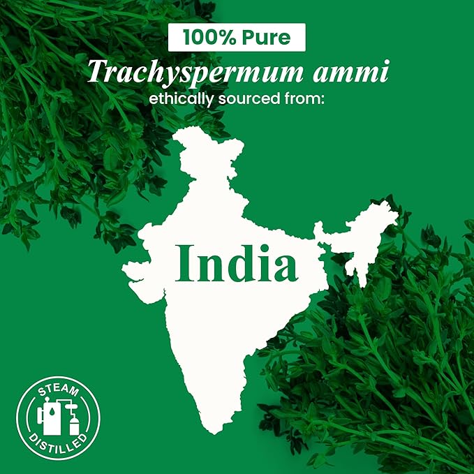 Handcraft Blends Thyme Essential Oil - Huge 4 Fl Oz - 100% Pure and Natural - Premium Grade Essential Oil for Diffuser and Aromatherapy