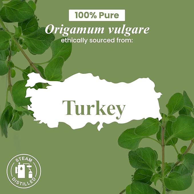 Handcraft Blends Oregano Oil - 1 Fl Oz - 100% Pure and Natural - Premium Grade Essential Oil for Diffuser and Aromatherapy