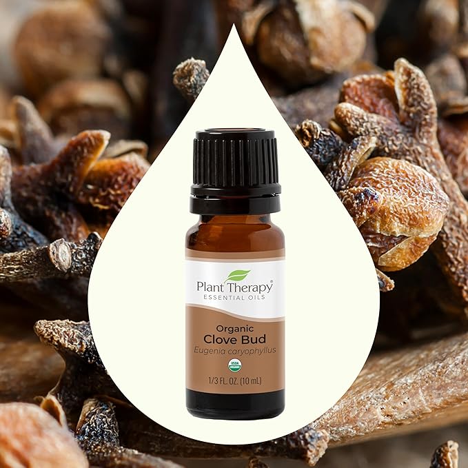 Plant Therapy Organic Clove Bud Essential Oil 100% Pure, USDA Certified Organic, Undiluted, Natural Aromatherapy, Therapeutic Grade 10 mL (⅓ oz)