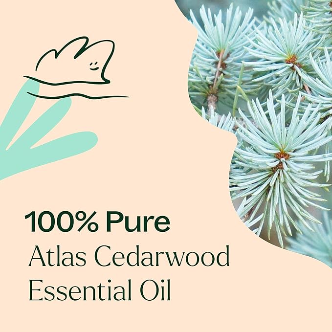 Plant Therapy Cedarwood Atlas Essential Oil 100% Pure, Undiluted, Natural Aromatherapy, Therapeutic Grade 10 mL (1/3 oz)