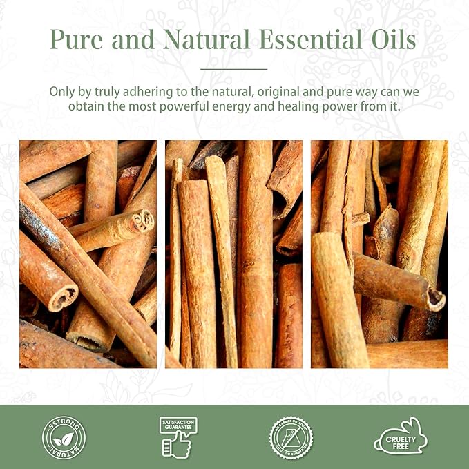 Cinnamon Essential Oil, 1.01Fl.Oz (30ML) PHATOIL Pure Essential Oil Singles for Aromatherapy Diffusers, Humidifiers, Great for DIY Candle and Soap Making, Gift for Friend