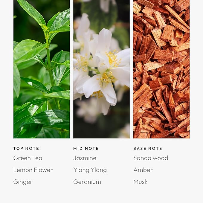 Aroma360 - All of Me Pro Pod Fragrance Oil Blend | Hotel Inspired Luxury Essential Oil Diffuser | Aromatherapy Scent Diffuser Oil | Green Tea, Lemon Flower and Jasmine 1.7 fl oz, 50 mL