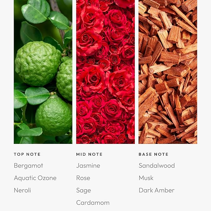 Aroma360 | Ocean Eyes Pro-Pod Oil Blend | Luxury Hotel Inspired Aromatherapy Scent Diffuser Oil | Ocean, Sage and Sandalwood 1.7 fl oz, 50 mL