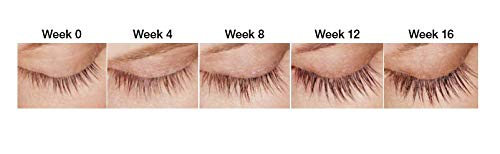 SPECTACULASH RAPID LASH SERUM for Eyelash Growth Serum to Grow Long Natural Lashes – Grow Long Eye Lashes – Lash Conditioner – Eyelash Volume - Suero Para Pestañas Crecimiento by DERMAWORKS