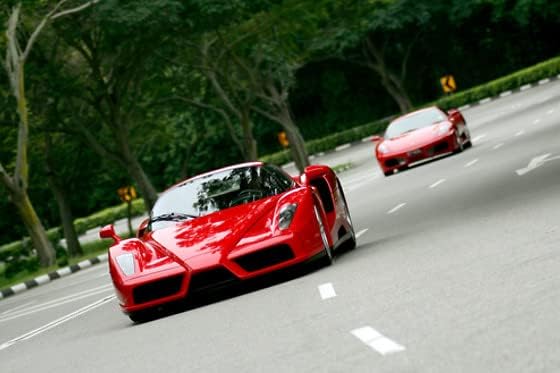 Wonderbox - Original Gift Idea - Experience Gift - Bucket List Experiences - 1 Activity to Choose from a Selection: Ferrari Driving, Dolphin Watching, Speedboat, Airboat for Gators Watching...