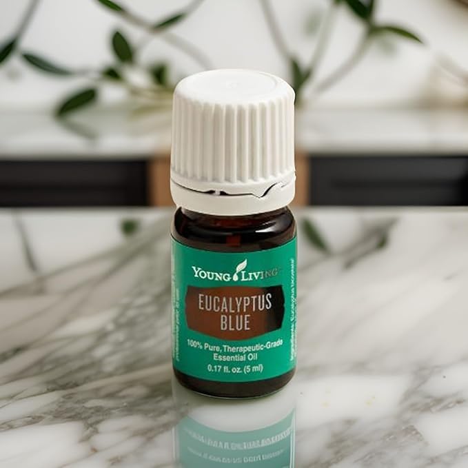 Young Living Eucalyptus Blue Premium Essential Oil Diffuser - 100% Pure, Cool & Refreshing Scent - Aromatherapy for Relaxation and Muscle Relief - 5ml Bottle